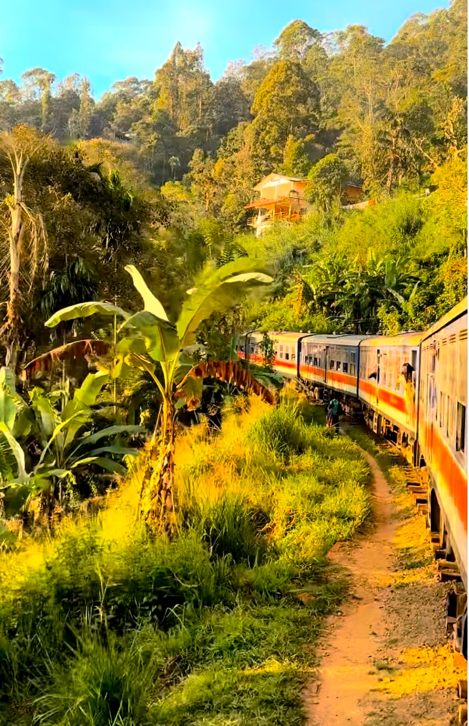 Train Sri Lanka 